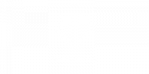 Logo Bruno Vanzan