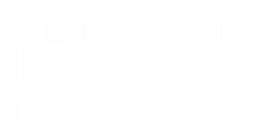 Logo Gemelli Digital Medicine Health