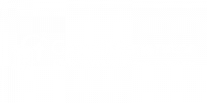 Logo Gemelli Generator