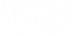 Logo MAAVi