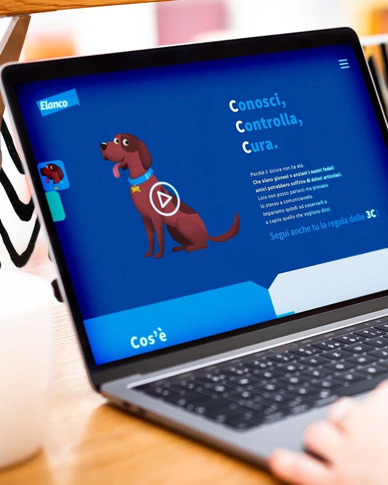 Campagna digital di sensibilizzazione - Conosci, controlla, cura